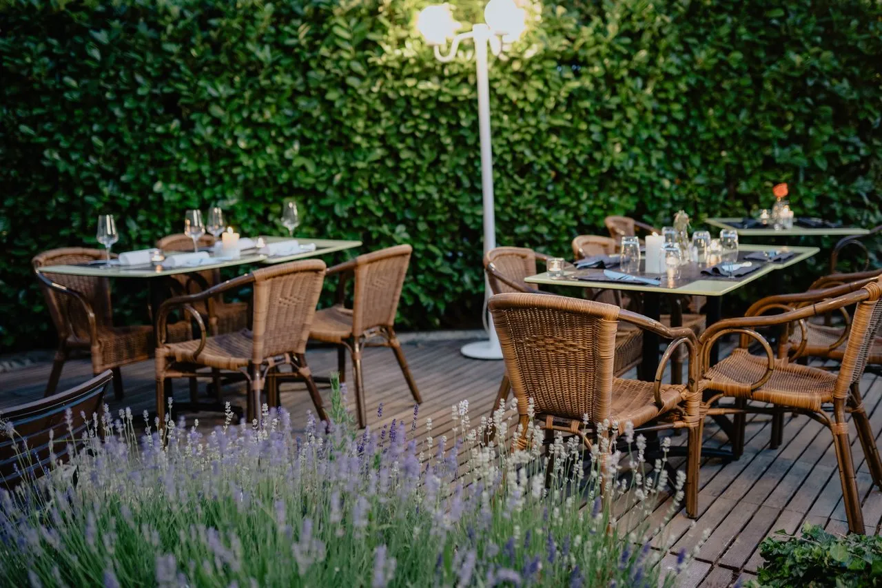 Naturstein-Terrasse mit gepflegter Bepflanzung